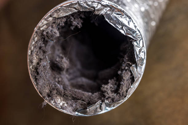 Best Duct Cleaning for Homes  in Woods Creek, WA